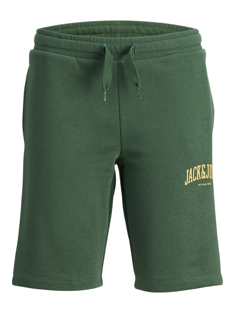 

Брюки-джоггеры Jack & Jones Junior "JPSTJOSH SWEAT SHORTS AMT JNR", зеленый