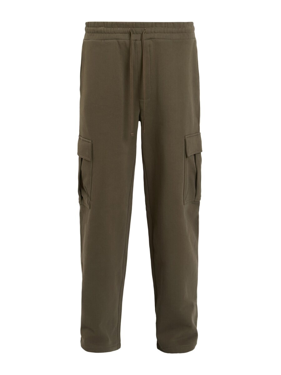 

Брюки AllSaints Wide leg Cargo Pants, зеленый