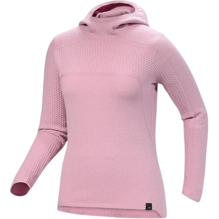 Толстовка с капюшоном из мериносовой шерсти Hallam для женщин Arcteryx, Shell Chestnut Pink