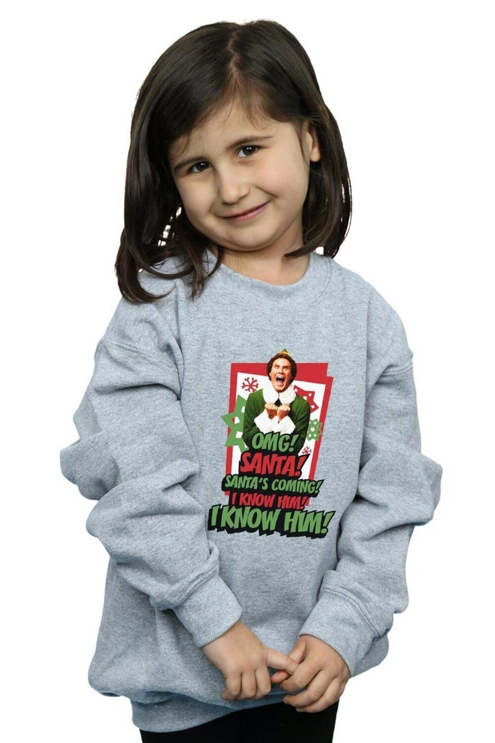 

Толстовка OMG Санта Elf, серый