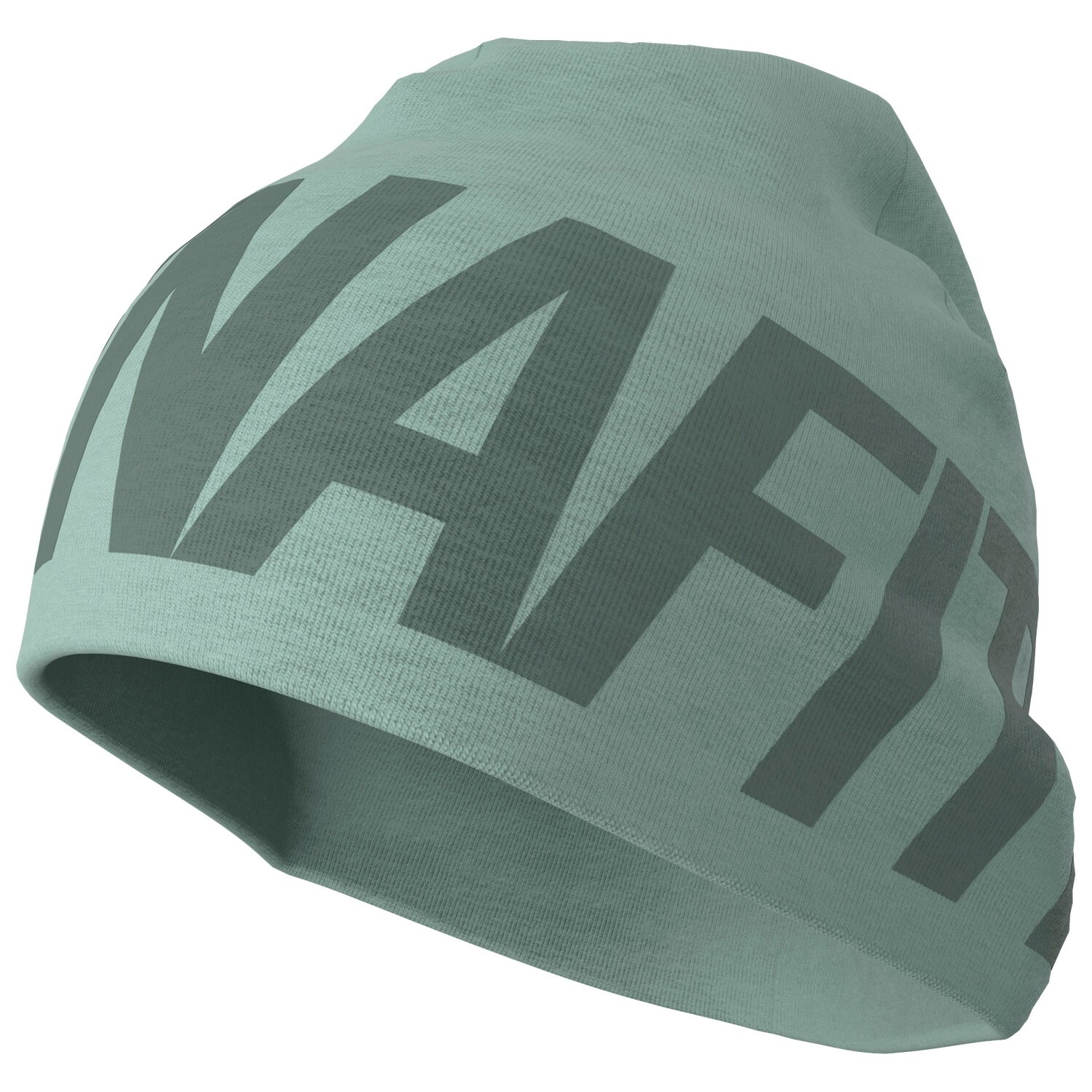 

Шапка Dynafit Light Logo Beanie, цвет Jadelite/3090