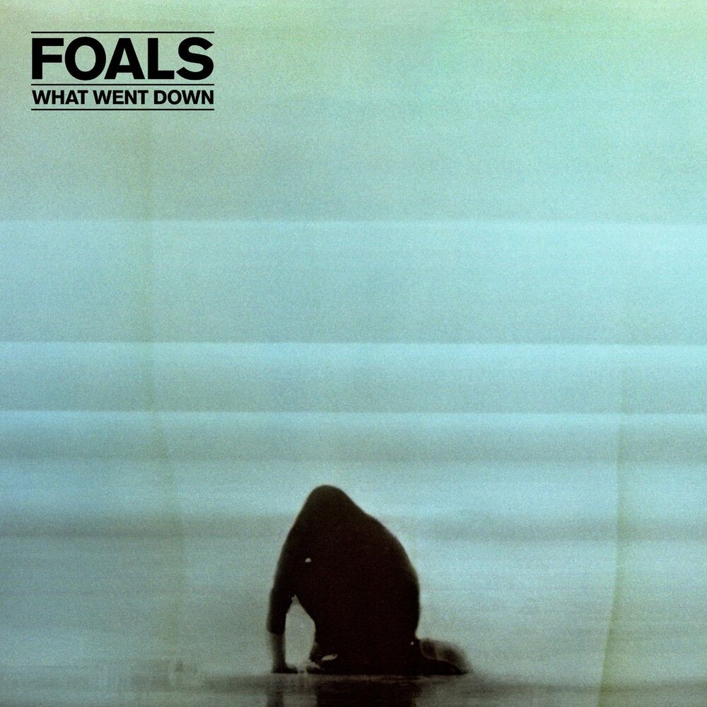

Виниловая пластинка LP What Went Down - Foals