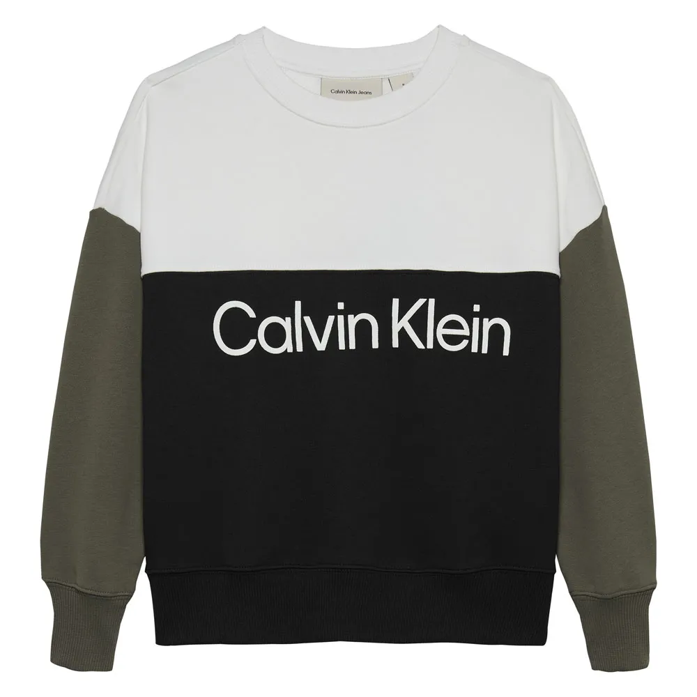 

Толстовка Calvin Klein Jeans Terry Blocking, разноцветный