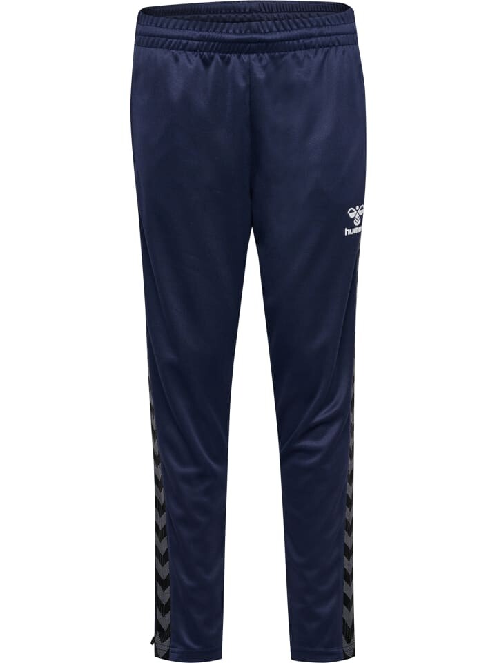 

Спортивные брюки Hummel Hmlauthentic Multisport Kinder, синий