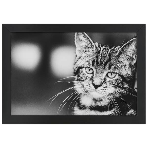 

Рамка для фотографий LegendArte Poster Feliner Ausdruck, черный