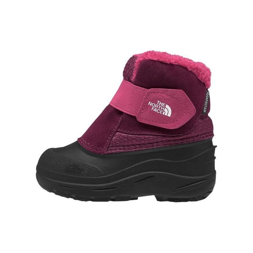 

Кроссовки THE NORTH FACE Alpenglow 2 Toddler Shoes TD, розовый