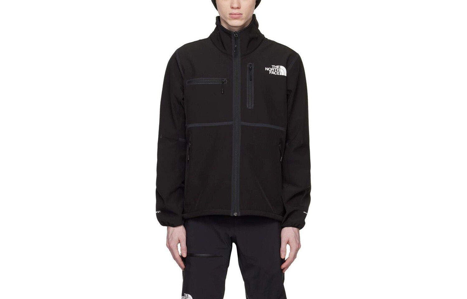 

Куртка мужская черный The North Face