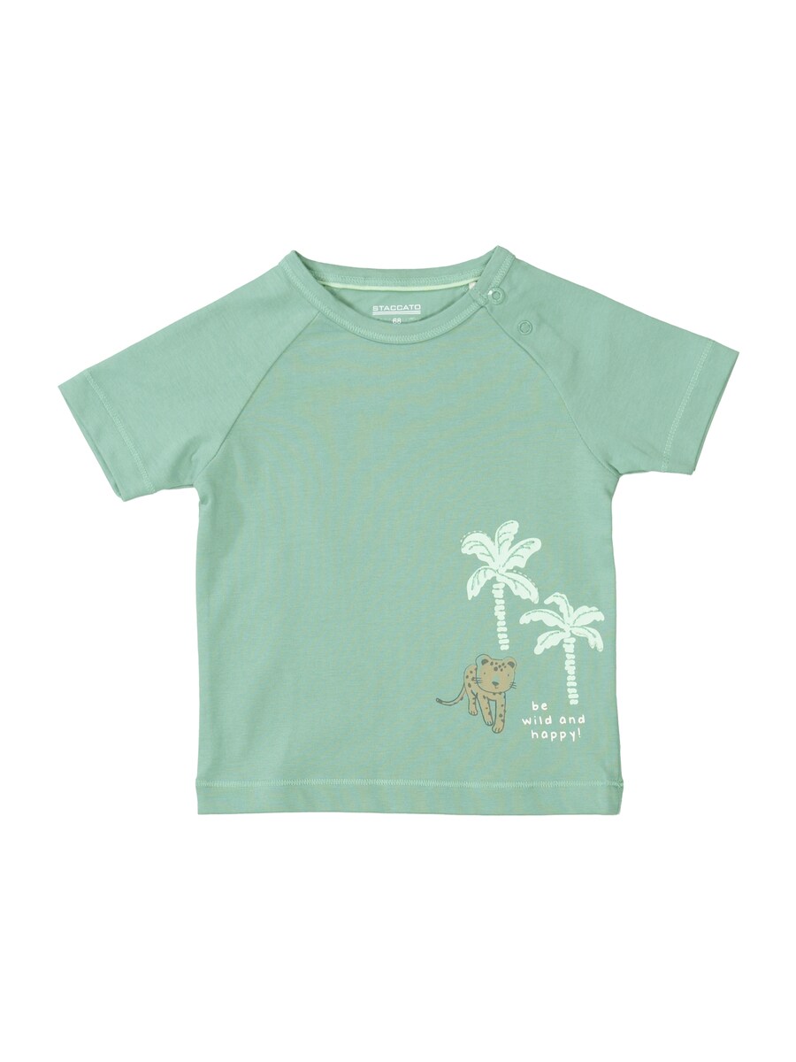 

Рубашка STACCATO, цвет Mint/Pastel green