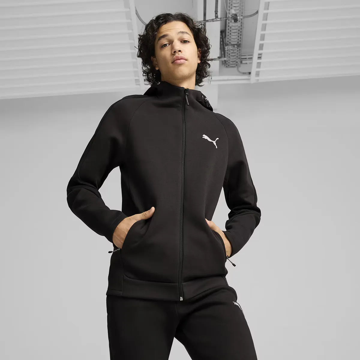 

Мужская толстовка с капюшоном Evostripe на молнии DK Puma Sweatsty, чёрный