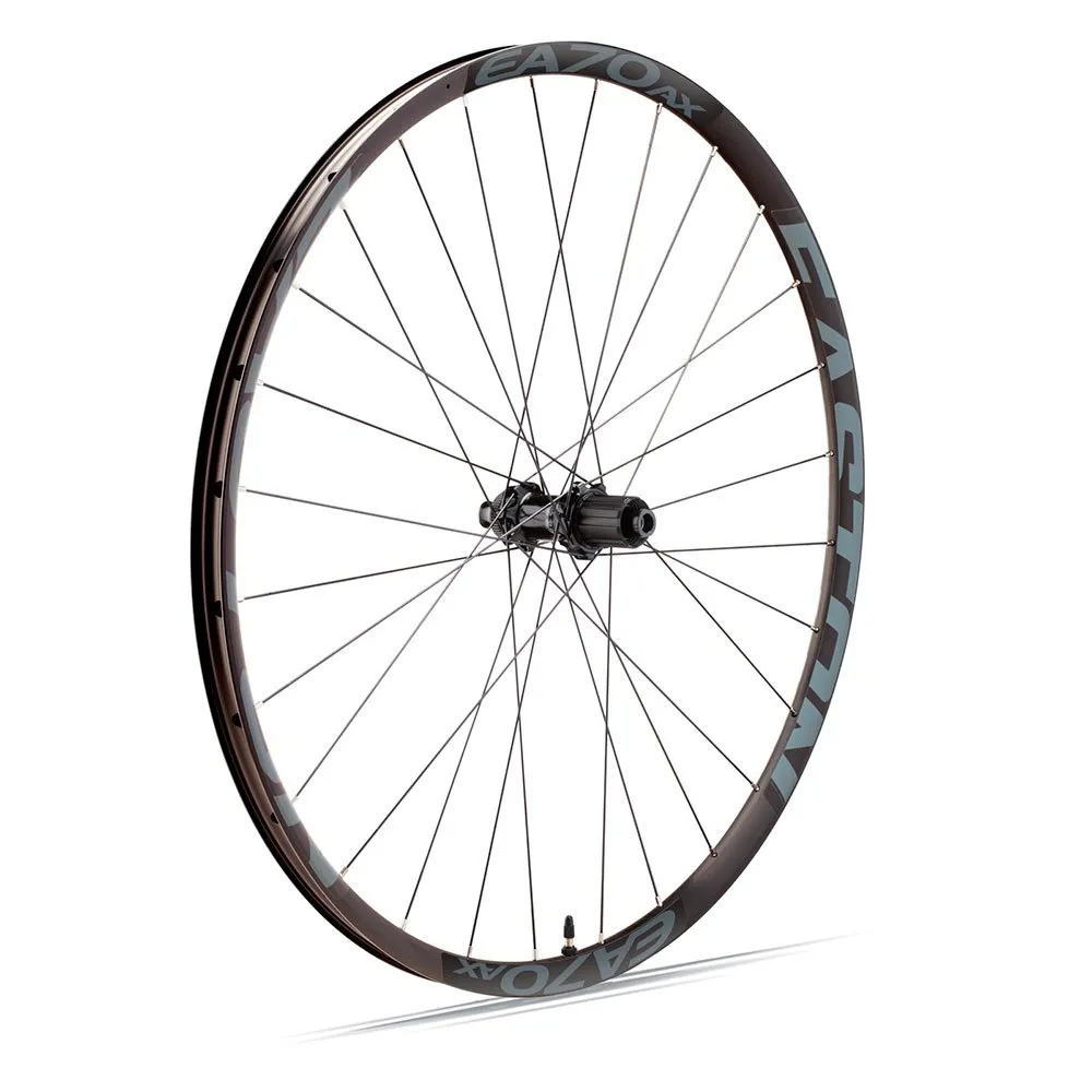 

Дорожное заднее колесо Easton EA70 AX Disc Tubeless, черный