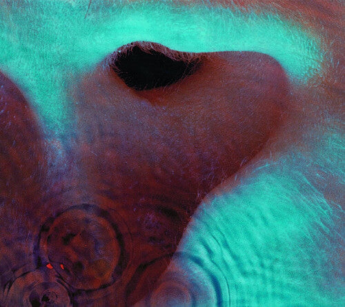 

CD диск Pink Floyd: Meddle