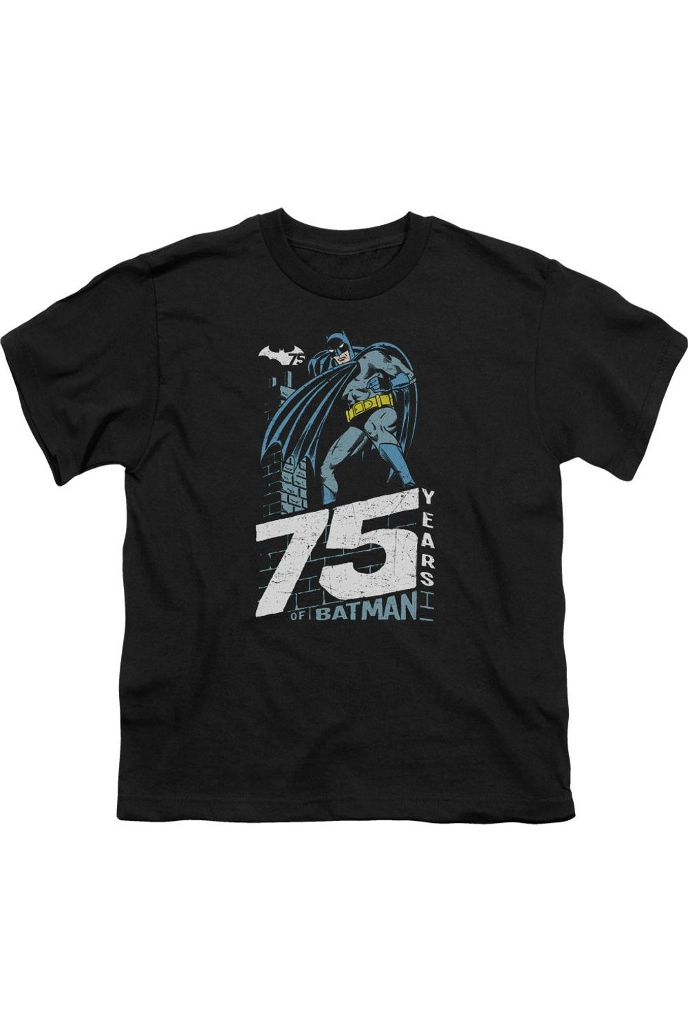 

Футболка с коротким рукавом для детей "Batman на крыше" Gildan, черный