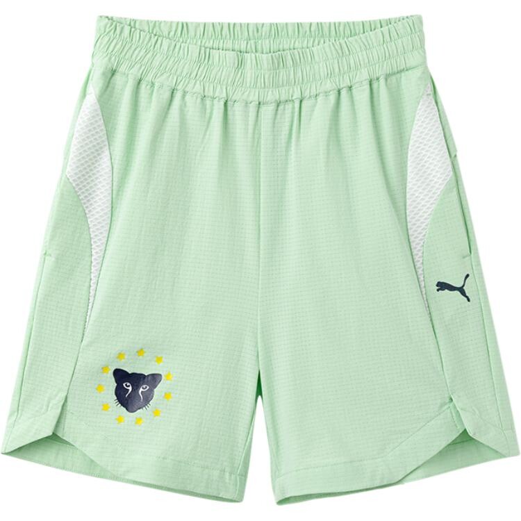 

GS Шорты Puma, зеленый
