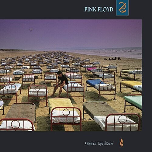 

Виниловая пластинка Pink Floyd: A Momentary Lapse Of Reason