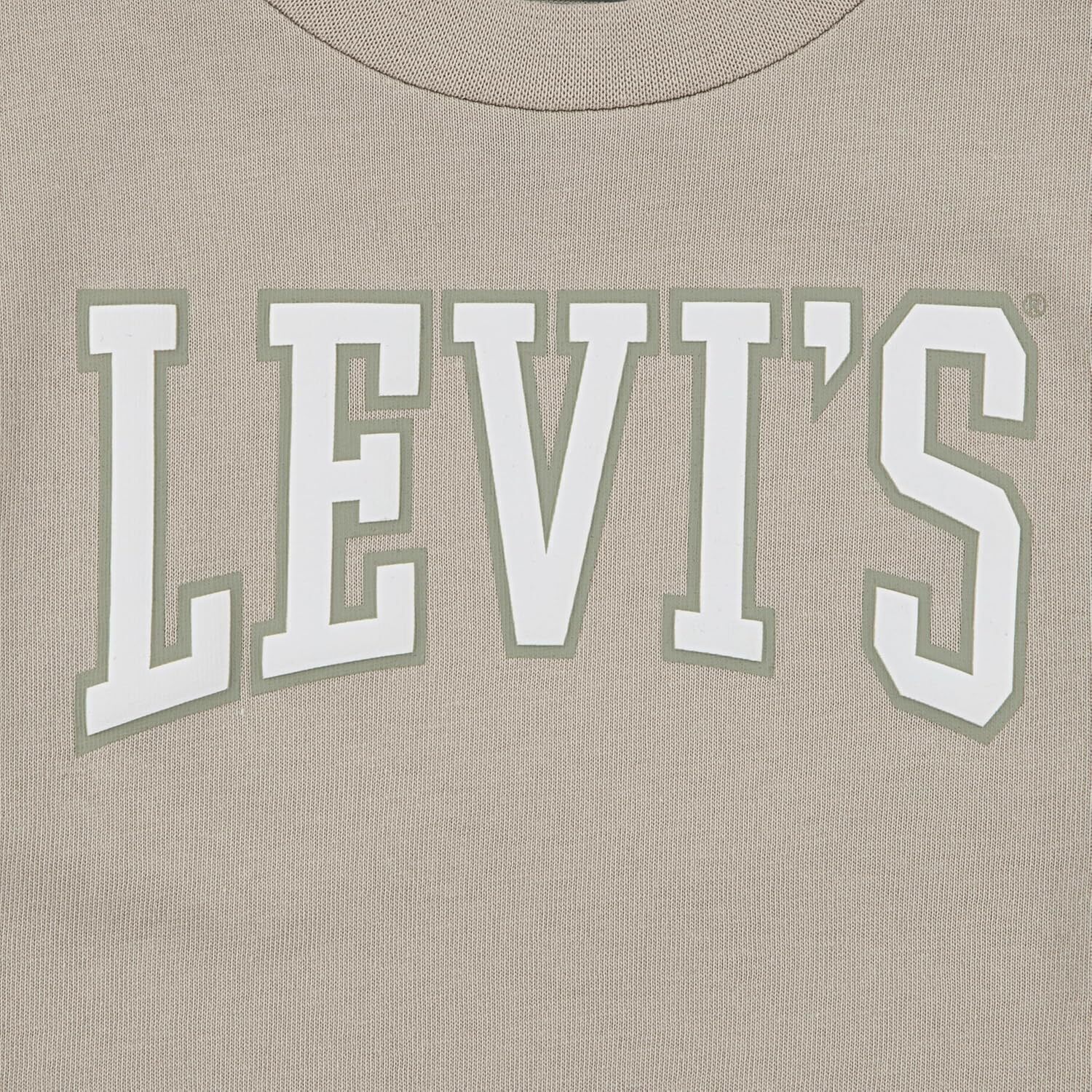 Комплект из двух предметов: футболка с принтом и шорты Levi's для мальчиков и малышей, Oatmeal — фото 3