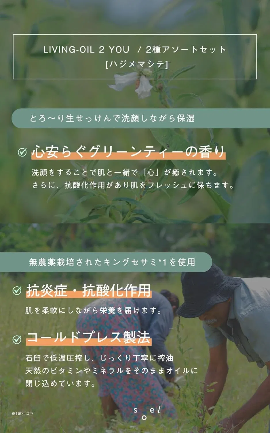 Набор для ухода за кожей Soel LIVING-OIL 2 YOU, Hajimemasite Set, мыло для лица и масло, зеленый чай — фото 3