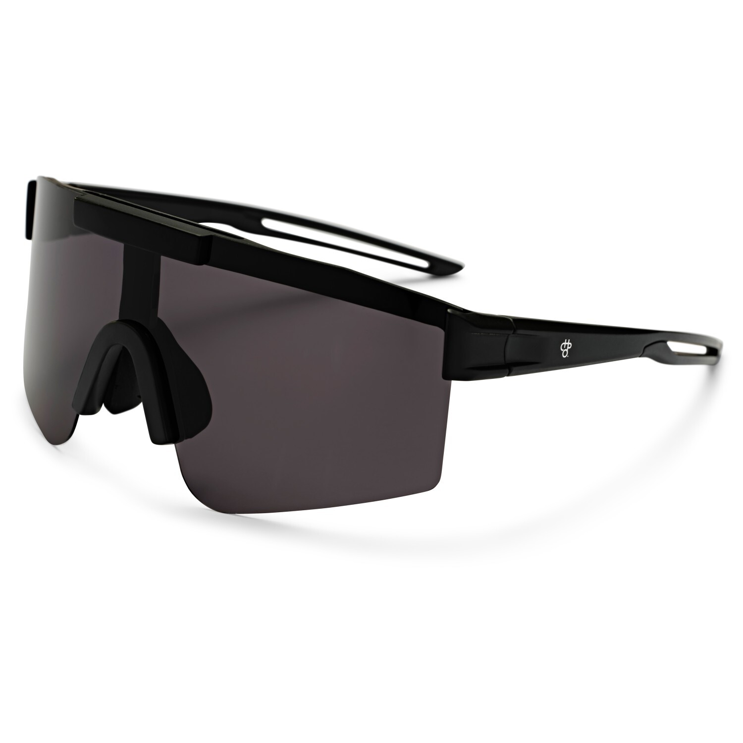 

Велосипедные очки Chpo Luca Polarized Cat. 3 (VLT 12%), черный