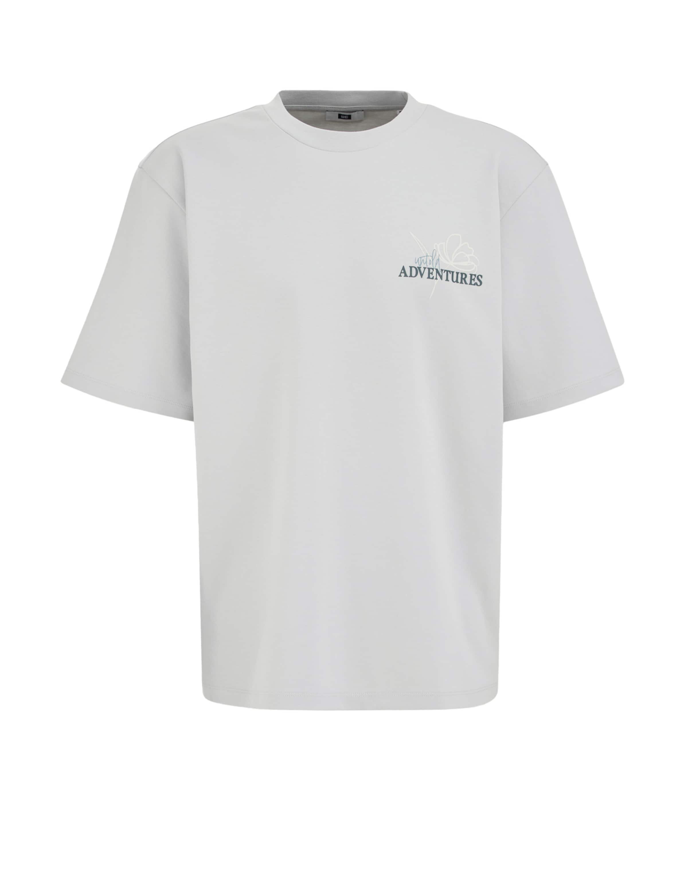 

WE Fashion Футболка в светло-сером цвете