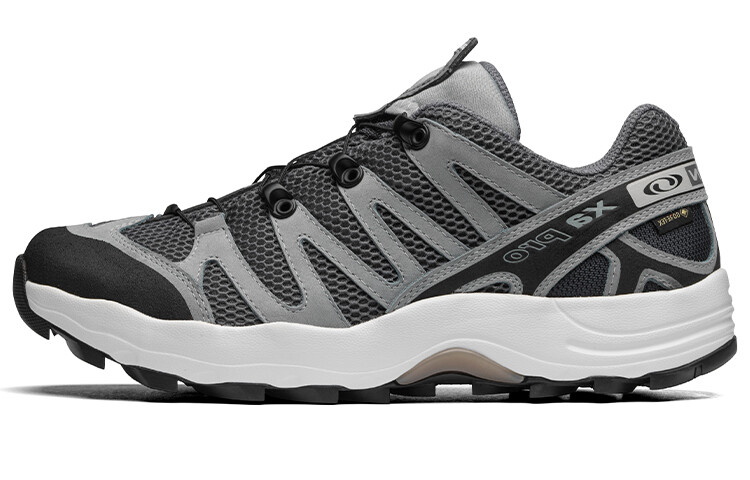 

BEAMS X XA Pro 1 GTX «Карьерный черный» Salomon