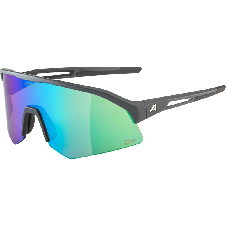 

Спортивные очки Sonic HR Q-Lite Alpina, black matt-blue