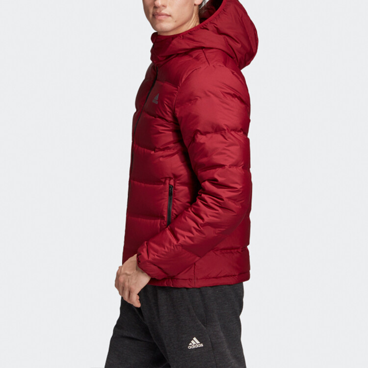 Пуховик мужской Campus Winewine Adidas, цвет Campus winewine — фото 4