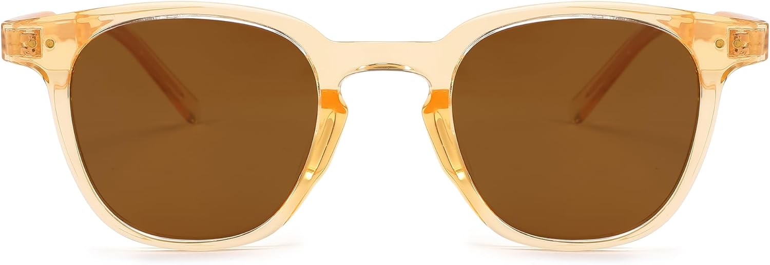 

FEISEDY Классические поляризованные солнцезащитные очки в стиле ретро, ​​круглые солнцезащитные очки для женщин и мужчин, модные очки B0002, 003 Champagne Frame/Brown Lens