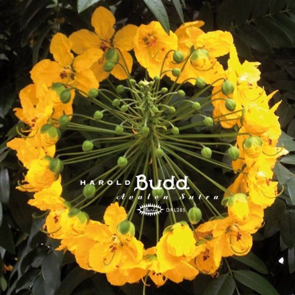 

Диск CD Avalon Sutra - Harold Budd