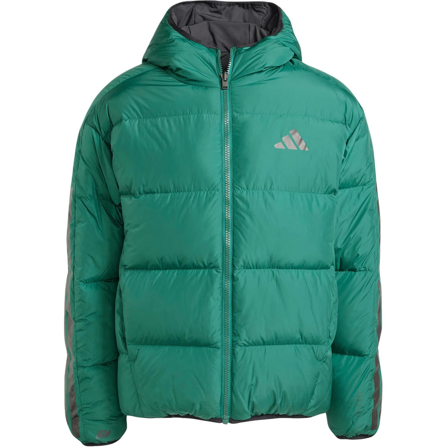 

Стеганая куртка Cold.Rdy мужская, лесная зеленый Adidas