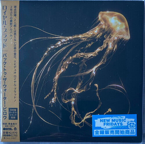 

CD диск Royal Blood: Back To The Water Below - incl. Bonus Track