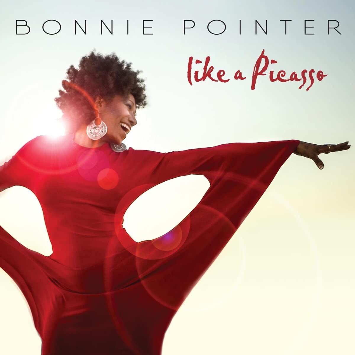 

CD диск Pointer, Bonnie: Like A Picasso