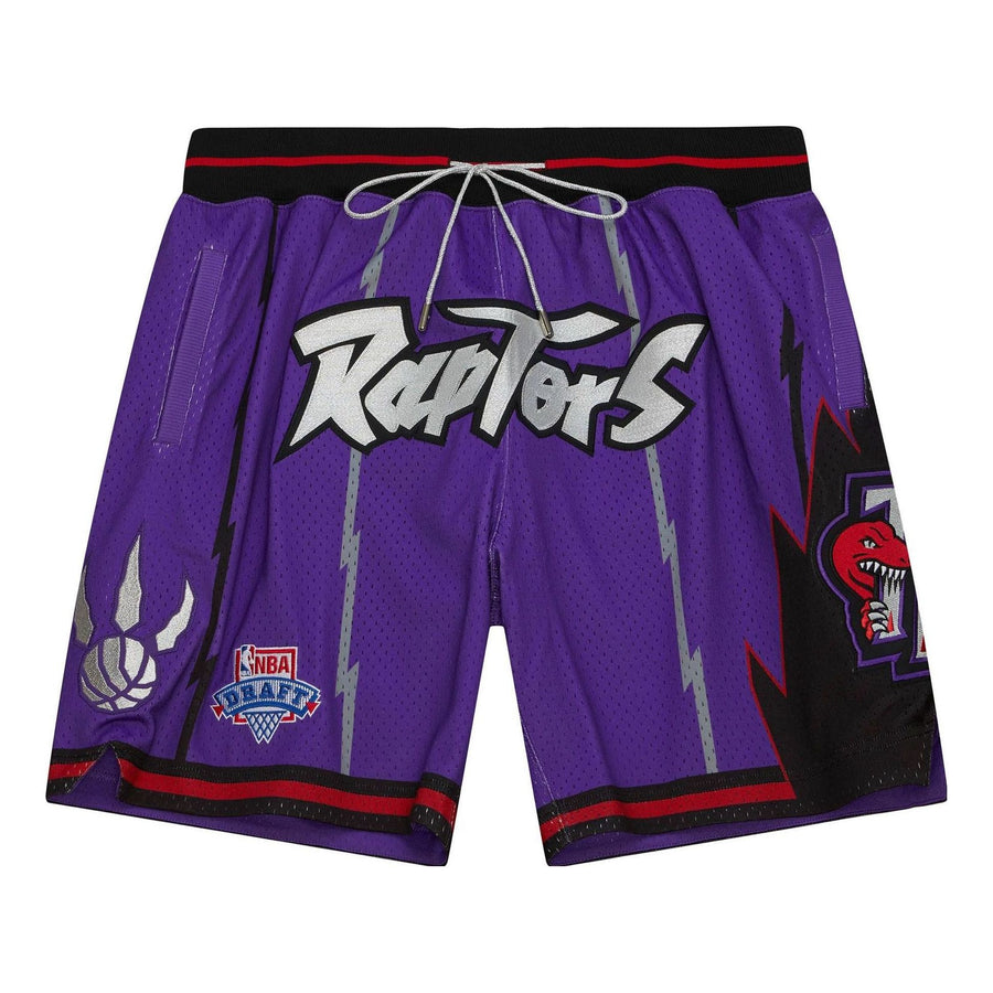 

Спортивные шорты Mitchell & Ness x Just Don Hardwood Classics Shorts 'Toronto Raptors 1995', фиолетовый