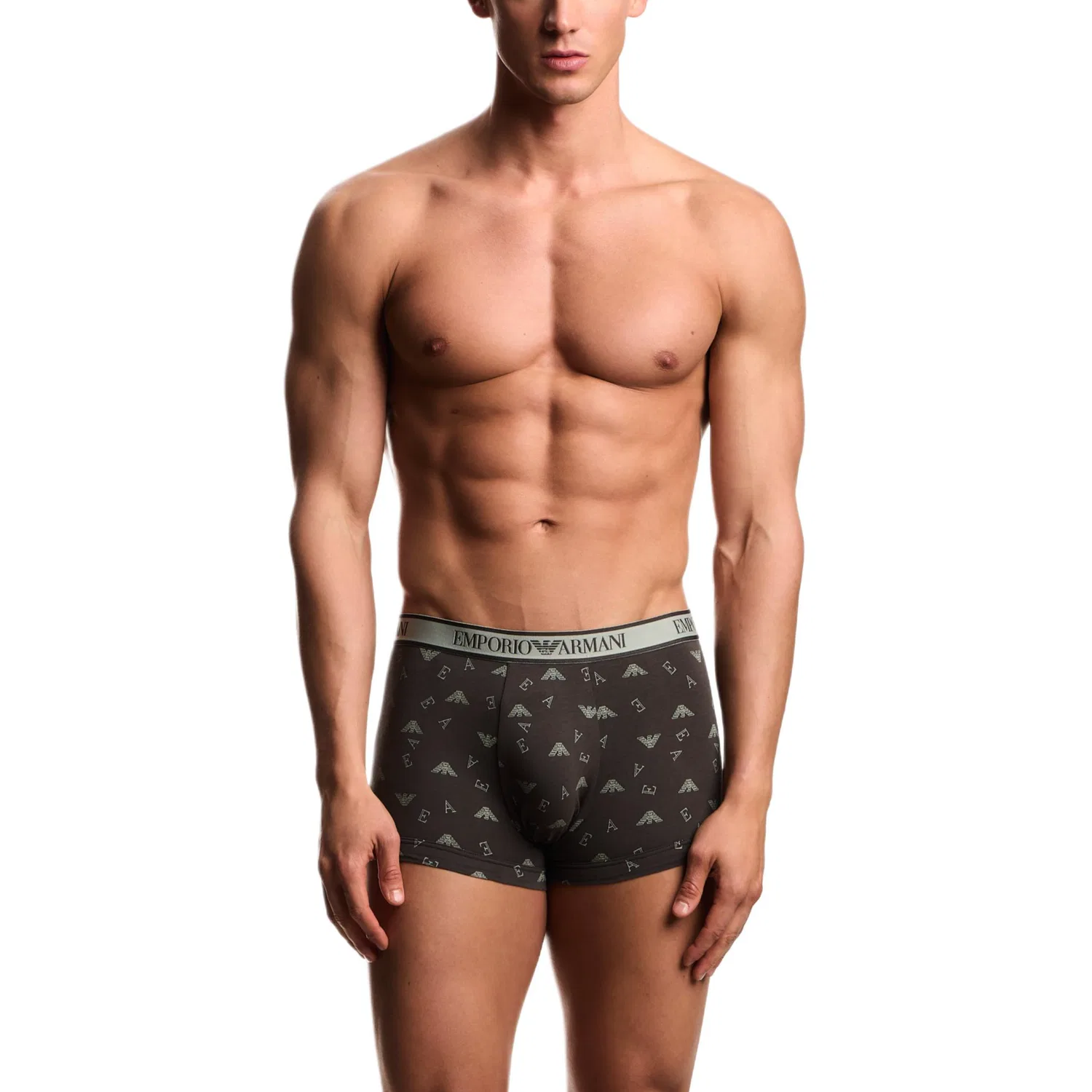 Боксеры EMPORIO ARMANI EA7 3 шт черный+зеленый+коричневый — фото 2