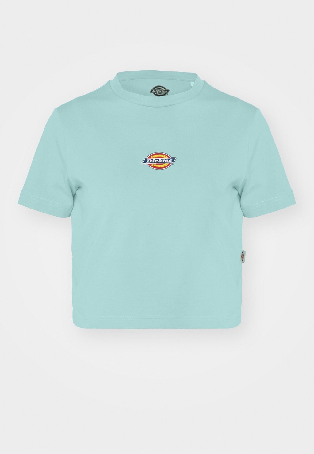 

Базовая футболка MAPLE VALLEY TEE Dickies, бирюзовый