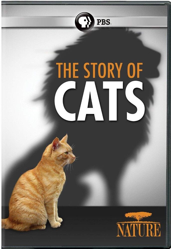 

Диск DVD Story Of Cats