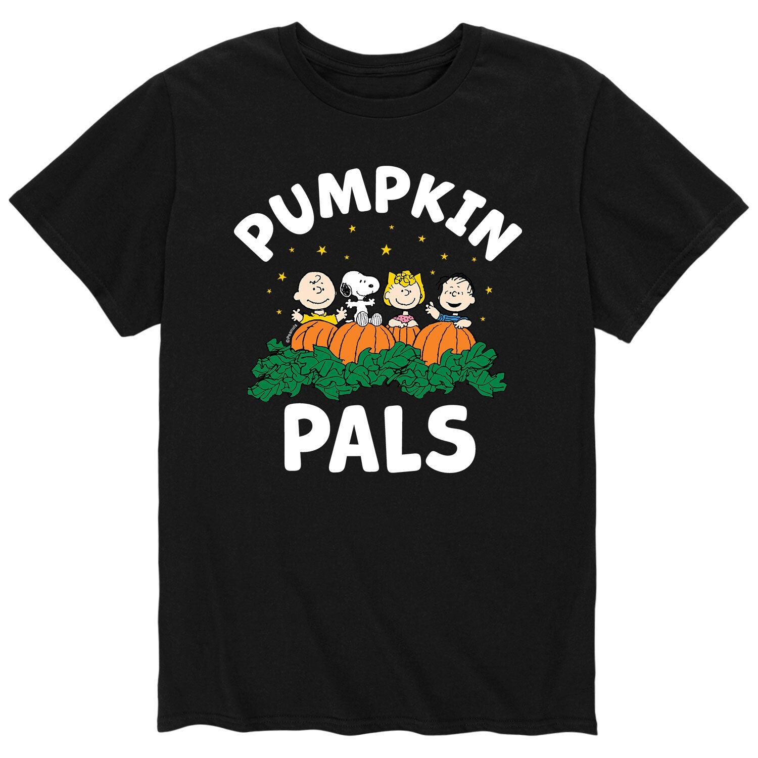 

Мужская футболка Peanuts Pumpkin Pals Licensed Character