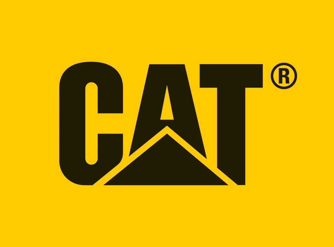 Классические мужские ботинки Caterpillar Colorado P720263 Cat Footwear, черный — фото 2