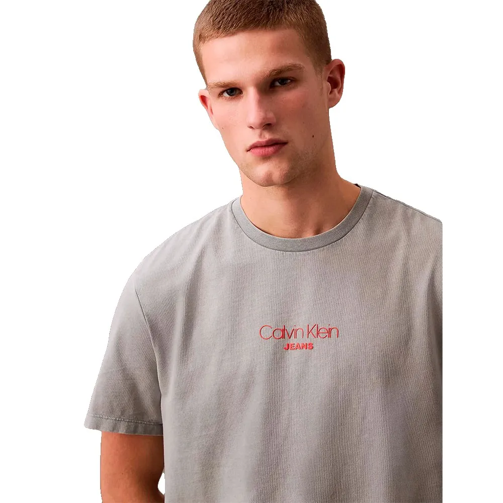 Футболка с коротким рукавом Calvin Klein LV04RB824G, серый — фото 4