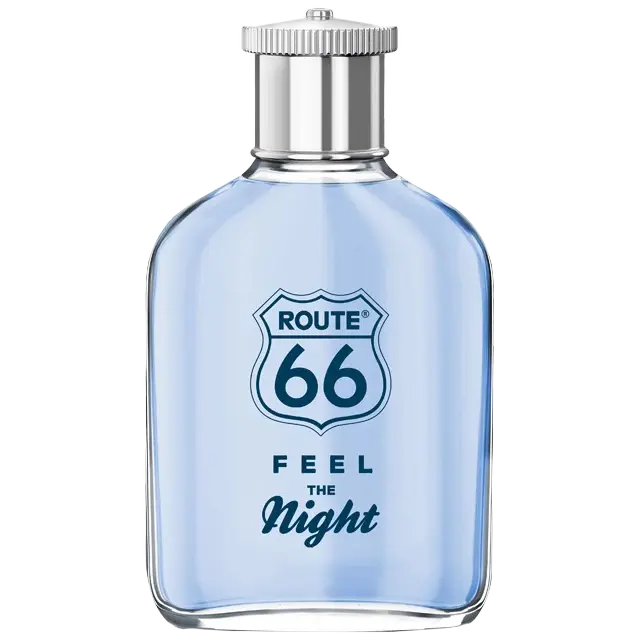 

Мужская туалетная вода Route 66 Feel The Night, 100 мл