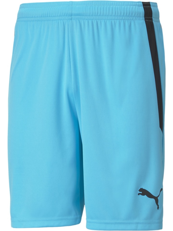 

Puma Спортивные штаны «TeamLIGA Shorts» синего цвета