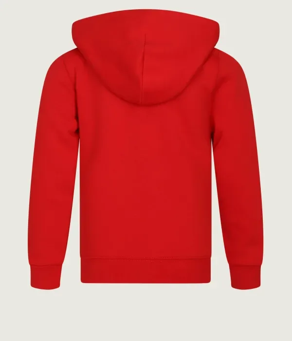 Сезонная толстовка regular fit Polo Ralph Lauren, красный — фото 2