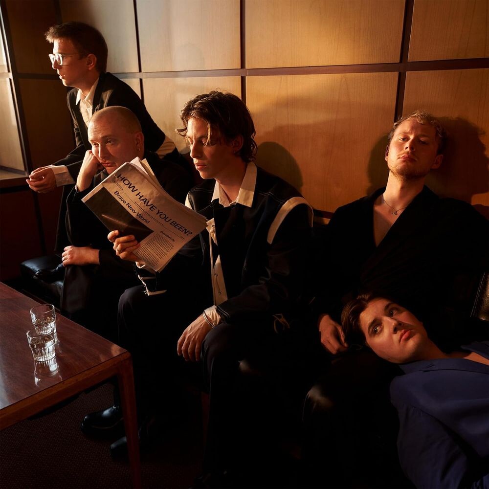 

Диск CD How Have You Been - Giant Rooks