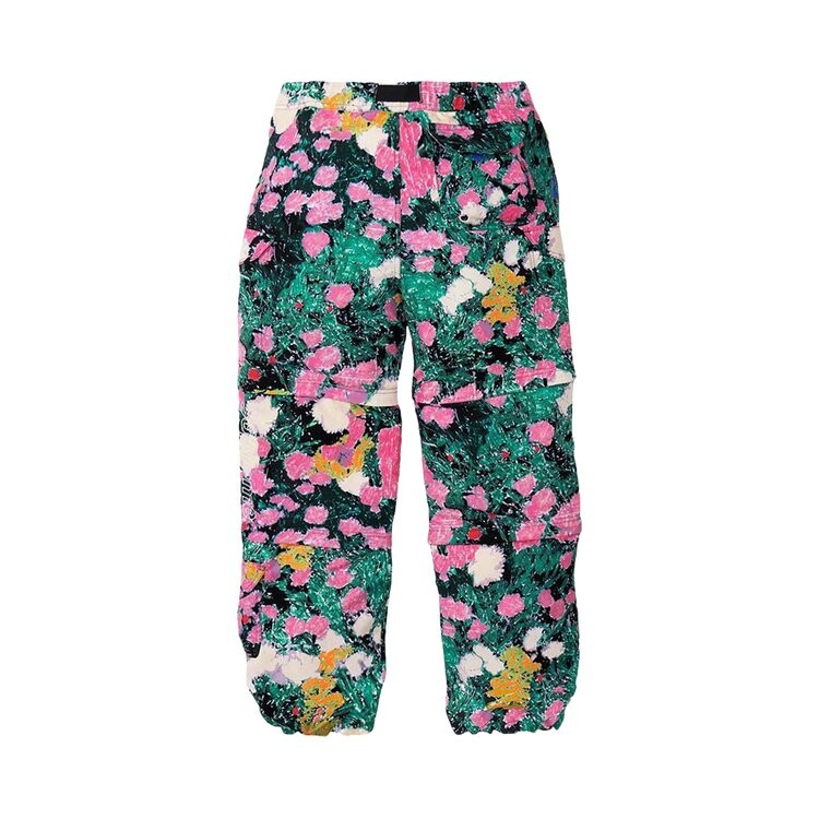 Брюки Supreme x The North Face Trekking Zip-Off Belted Pant, разноцветный — фото 2