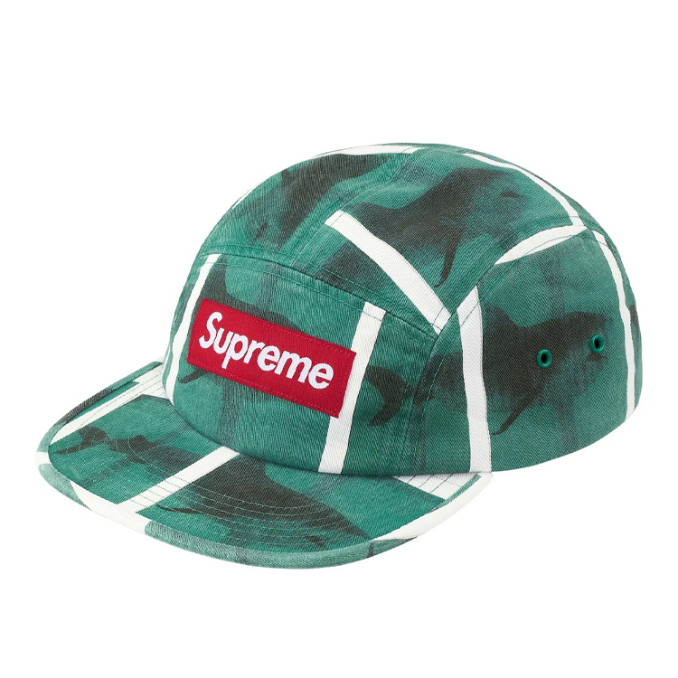 

Supreme Кепка Damien Hirst, Green