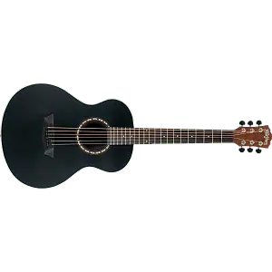 

Акустическая гитара Washburn Apprentice AGM5BMK Black Matte