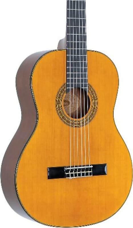 

Акустическая гитара Washburn C40 Classical Guitar, Natural