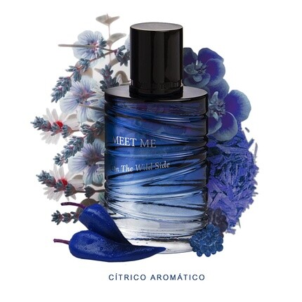 Мужская туалетная вода Omerta Meet Me On The Wild Side EDT 100ml — фото 3