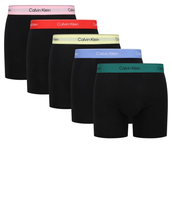 

Трусы 5 шт. Calvin Klein Underwear, черный