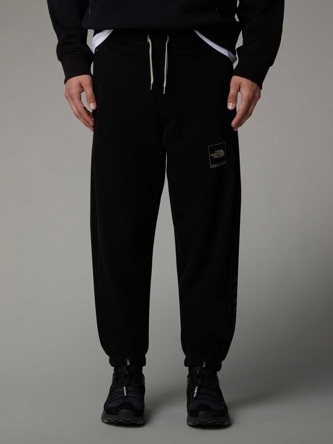 

Брюки The North Face M COORDINATES PANT, черный
