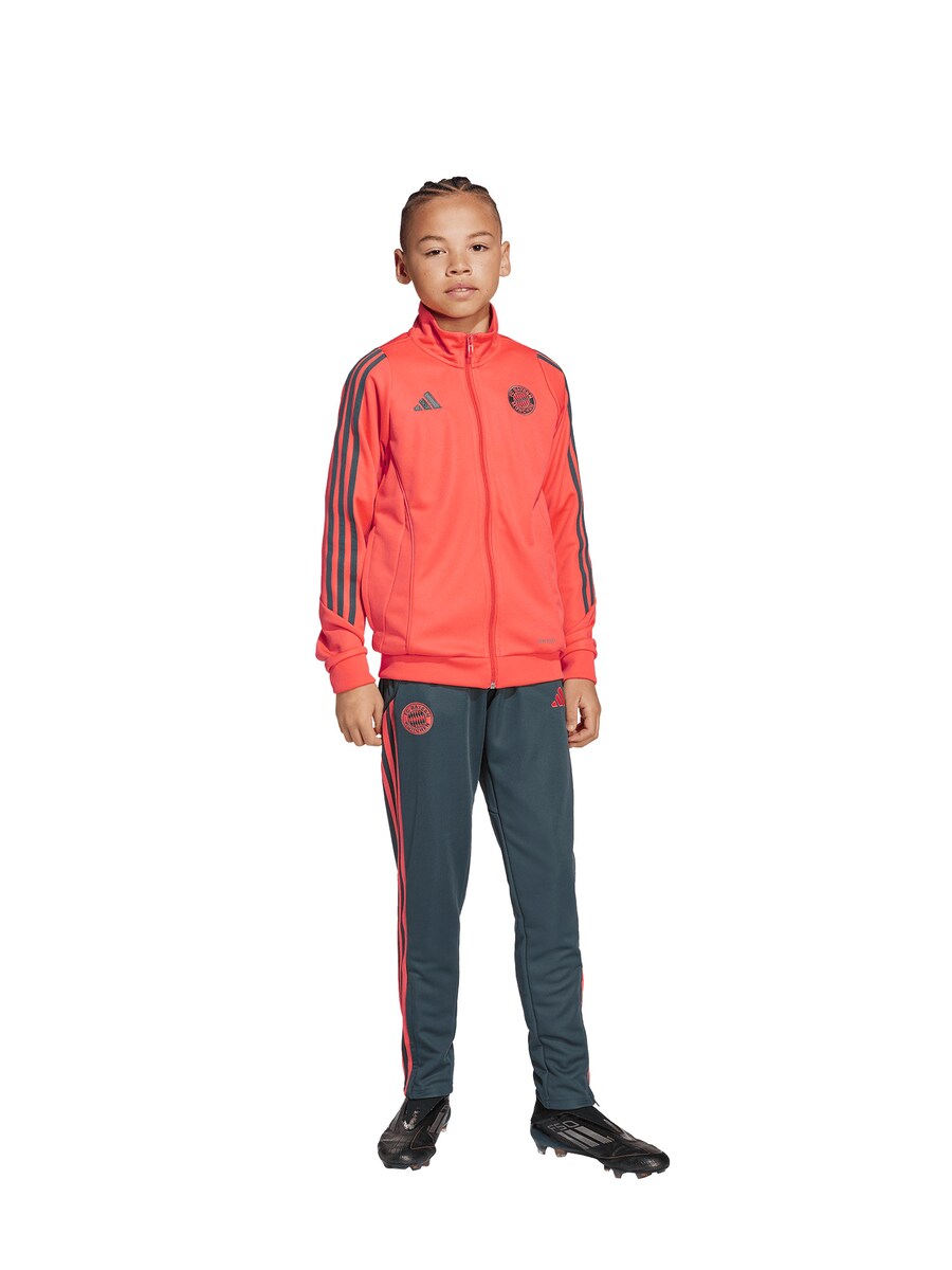 

Спортивный костюм FC BAYERN MÜNCHEN Away Teamline, цвет Anthracite/Orange