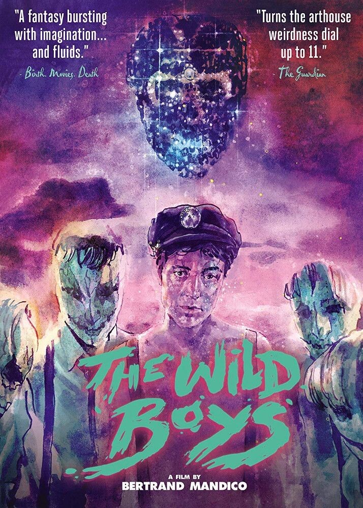 

Диск DVD Wild Boys